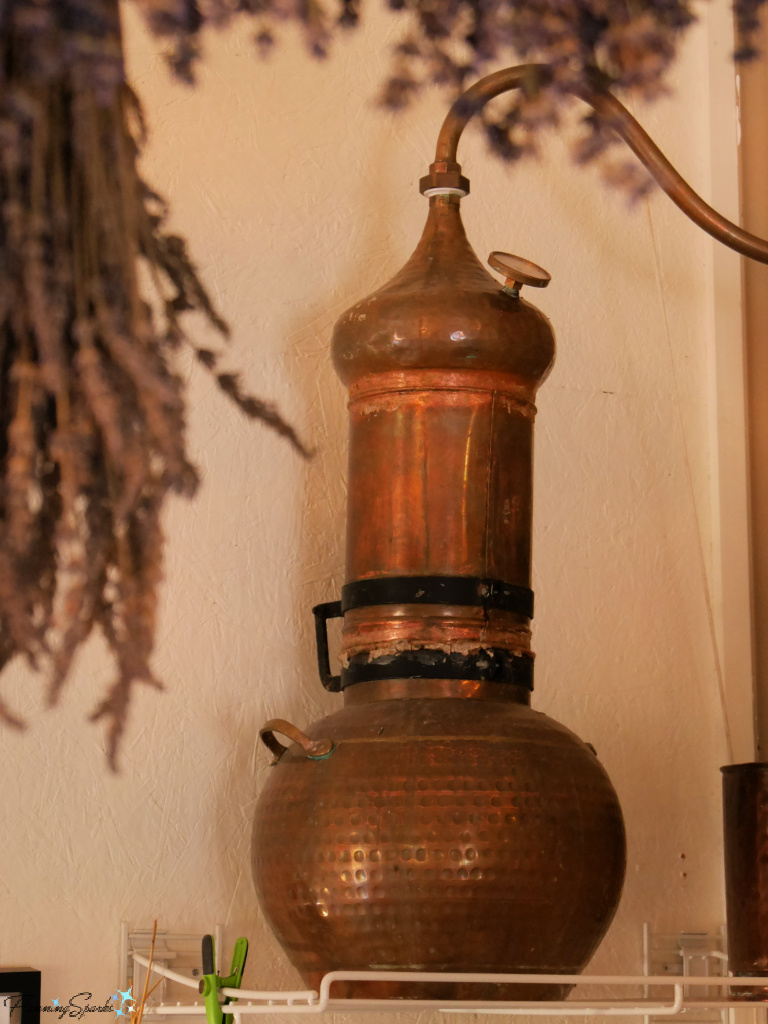 Copper Still for Distilling Essential Lavender Oil   @FanningSparks
