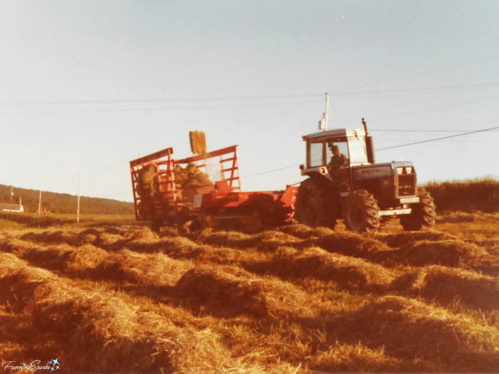 Dad Making Hay with Square Hay Baler and Bale Thrower   @FanningSparks