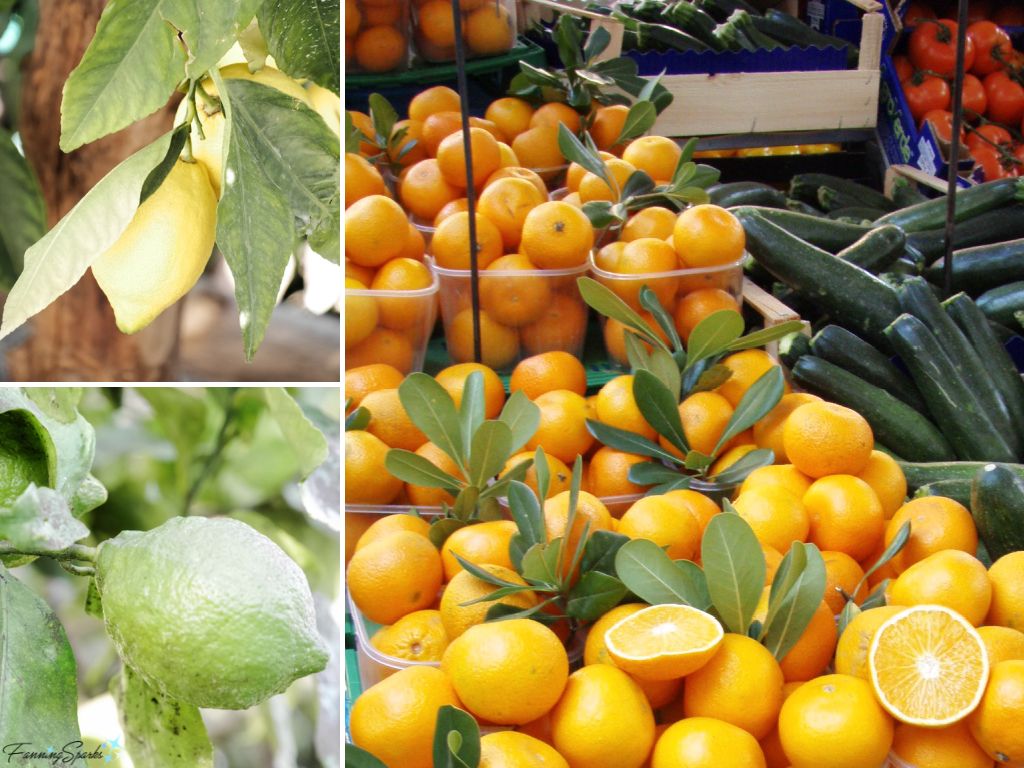 Fresh Lemons Limes and Oranges @FanningSparks