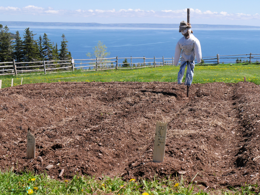 Garden with Scarecrow at Highland Village @FanningSparks
