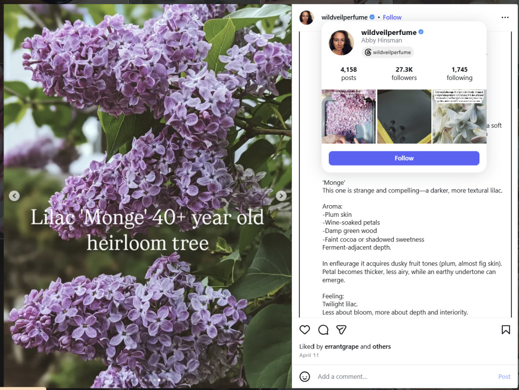 Monge Lilac by Wild Veil Perfume - from Instagram