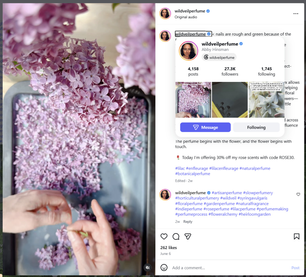 Preparing Lilacs for Enfleurage by Wild Veil Perfume - from Instagram