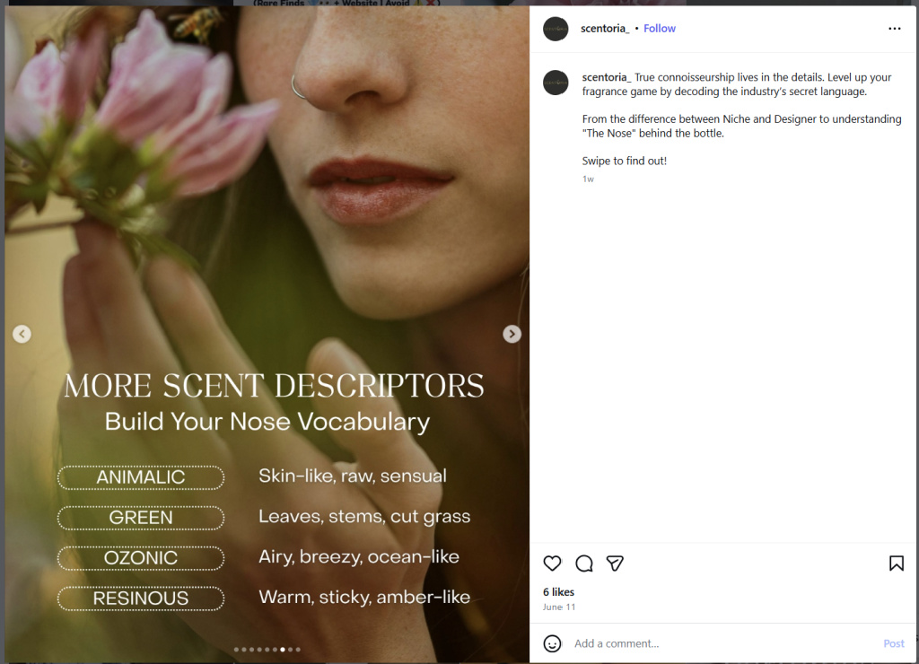 Scent Descriptors 2 by Scentoria - from Instagram