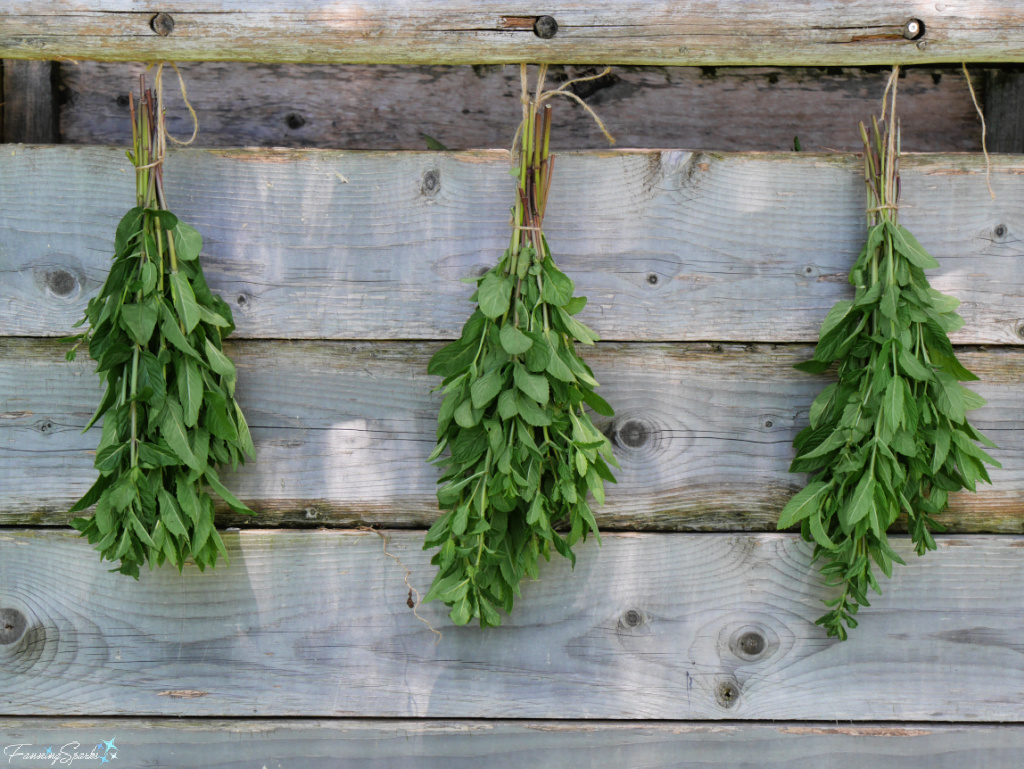 Trio of Mint Bundles Hanging to Dry   @FanningSparks