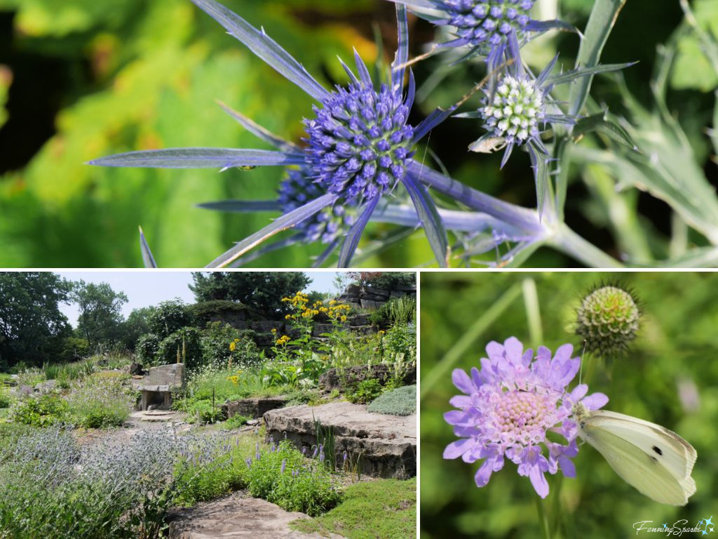 Alpine Garden in Jardin botanique in Montreal   @FanningSparks