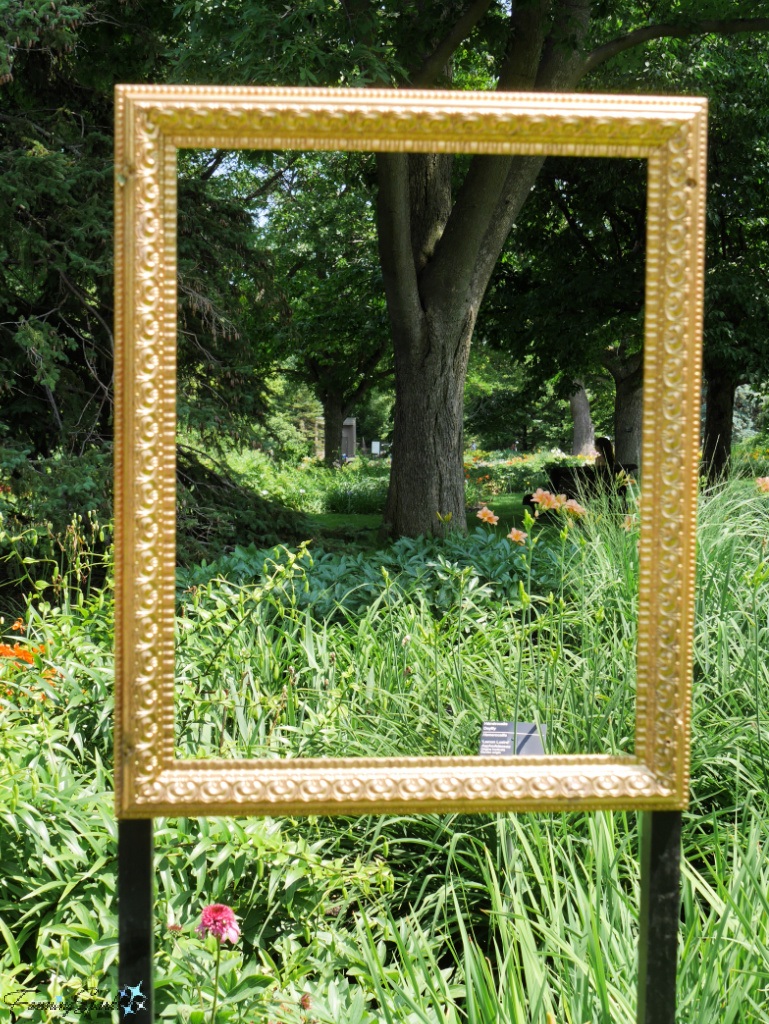Frame in Flowery Brook in Jardin botanique in Montreal   @FanningSparks