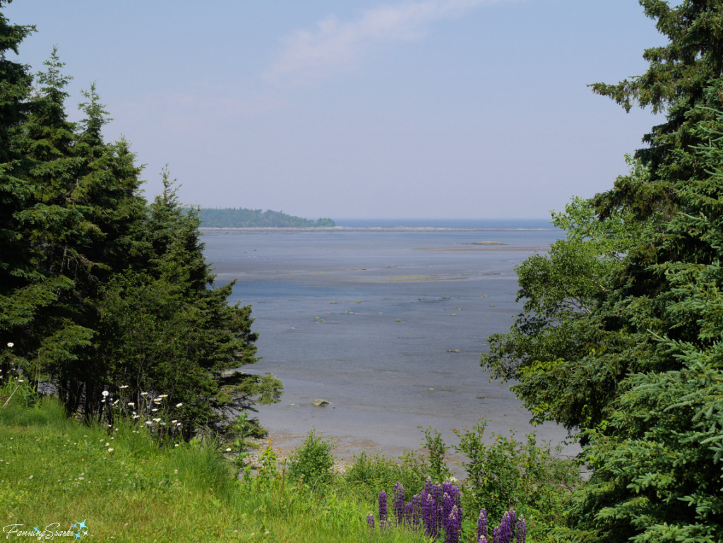 Metis River and St. Lawrence River from Reford Garden @FanningSparks
