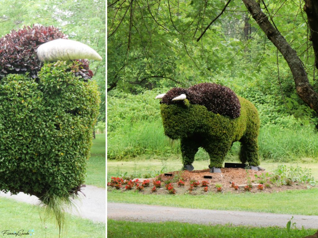 Mosaiculture Bison in New Brunswick Botanical Garden @FanningSparks