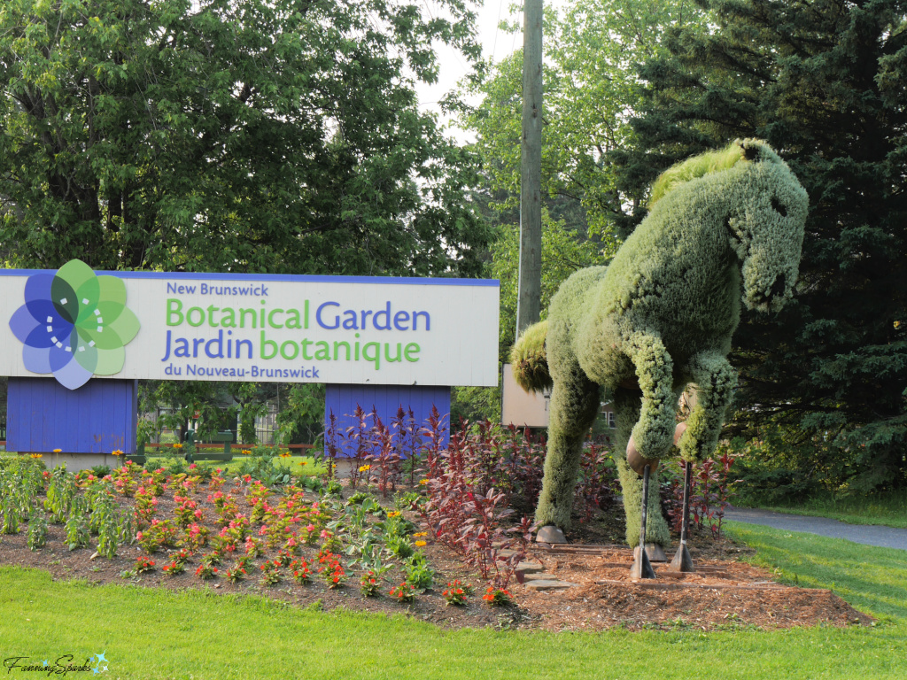 Mosaiculture Horse in New Brunswick Botanical Garden @FanningSparks