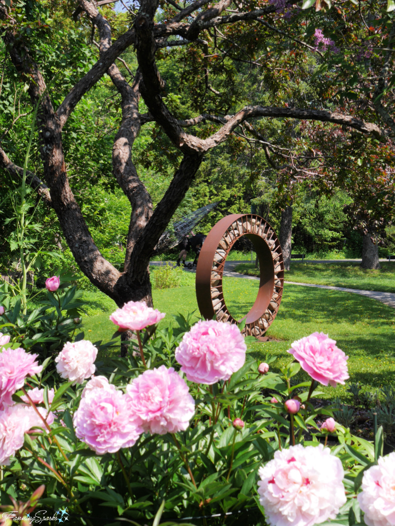 Peonies and Circular Garden Sculpture at Reford Garden @FanningSparks