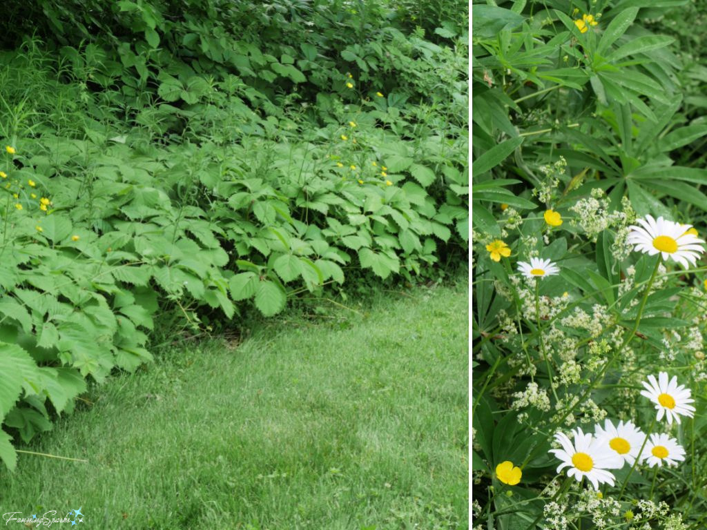 Quiet Lawn Border at Harriett Irving Botanical Gardens @FanningSparks