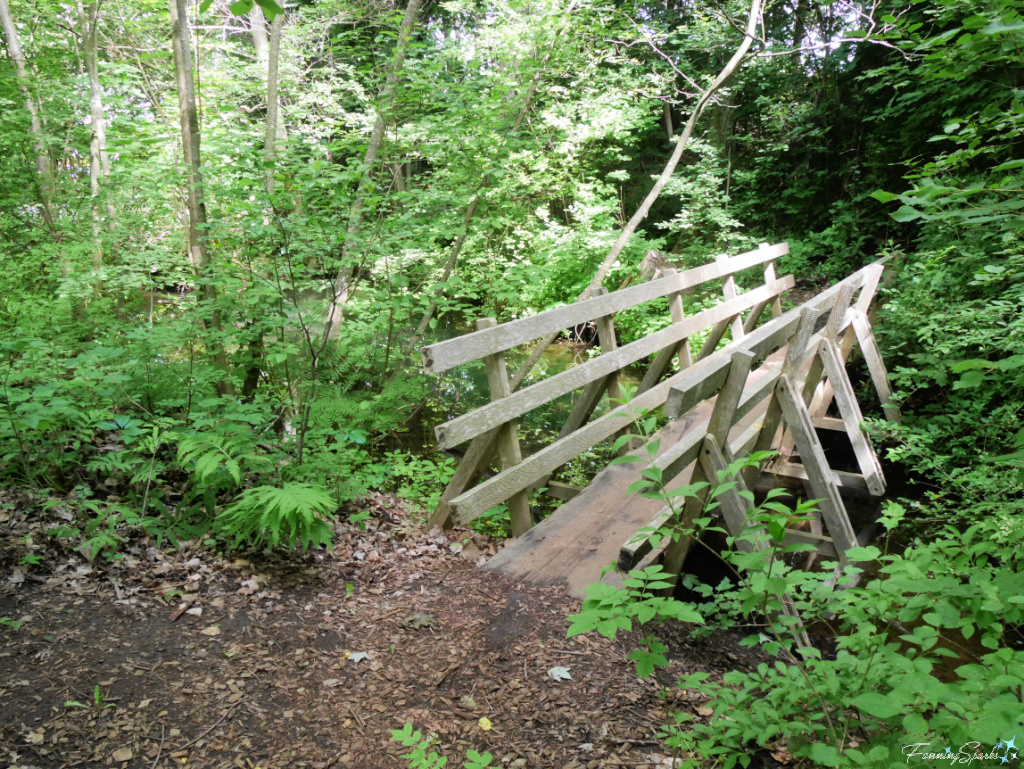Rustic Footbridge in Harriett Irving Botanical Gardens @FanningSparks