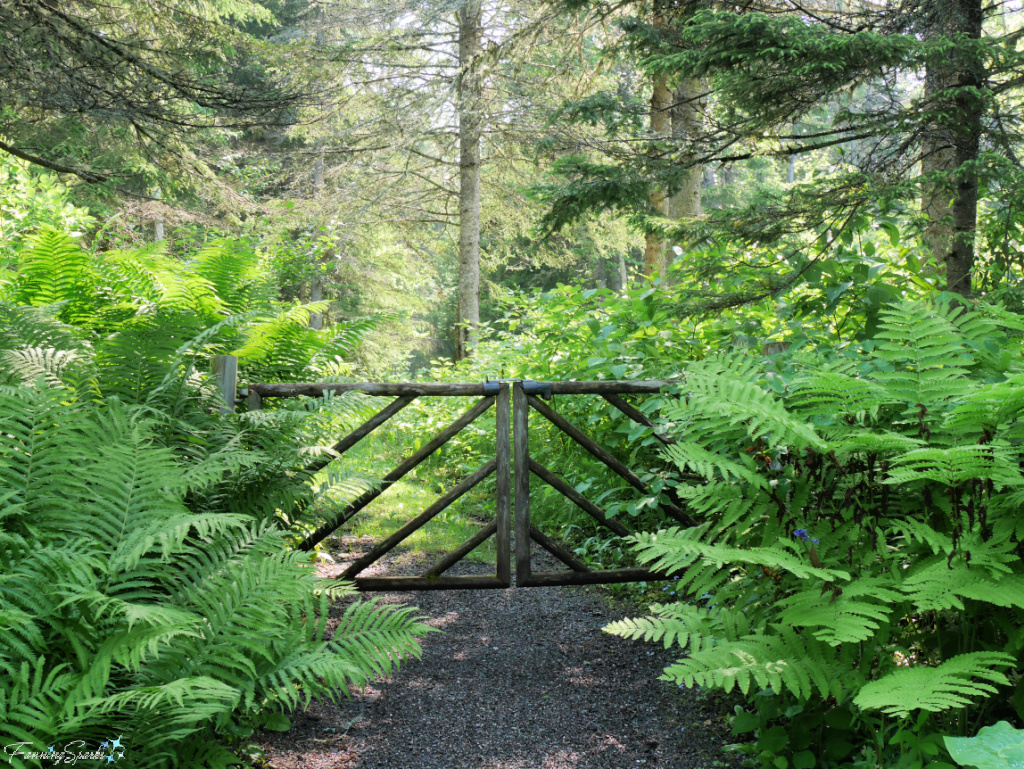 Rustic Gate in Reford Garden @FanningSparks
