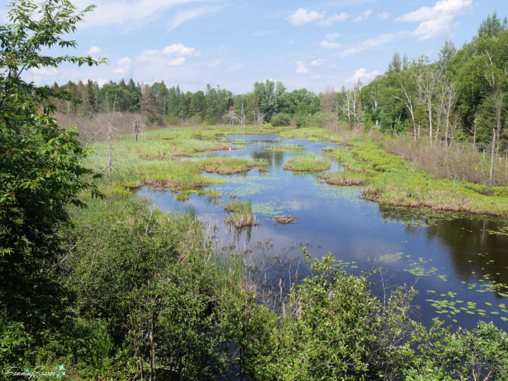 View from P’tit Train du Nord Rail Trail Near Rivière-Rouge @FanningSparks