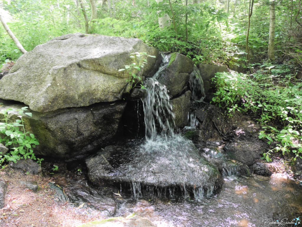 Water Rushing Over Rocks in Harriett Irving Botanical Gardens @FanningSparks