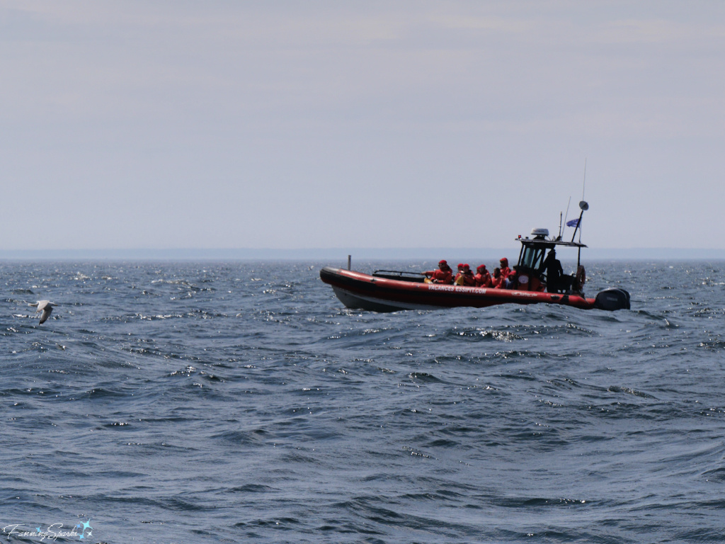 Whale Watching with Essipit Vacances in Saguenay–St Lawrence Marine Park @FanningSparks
