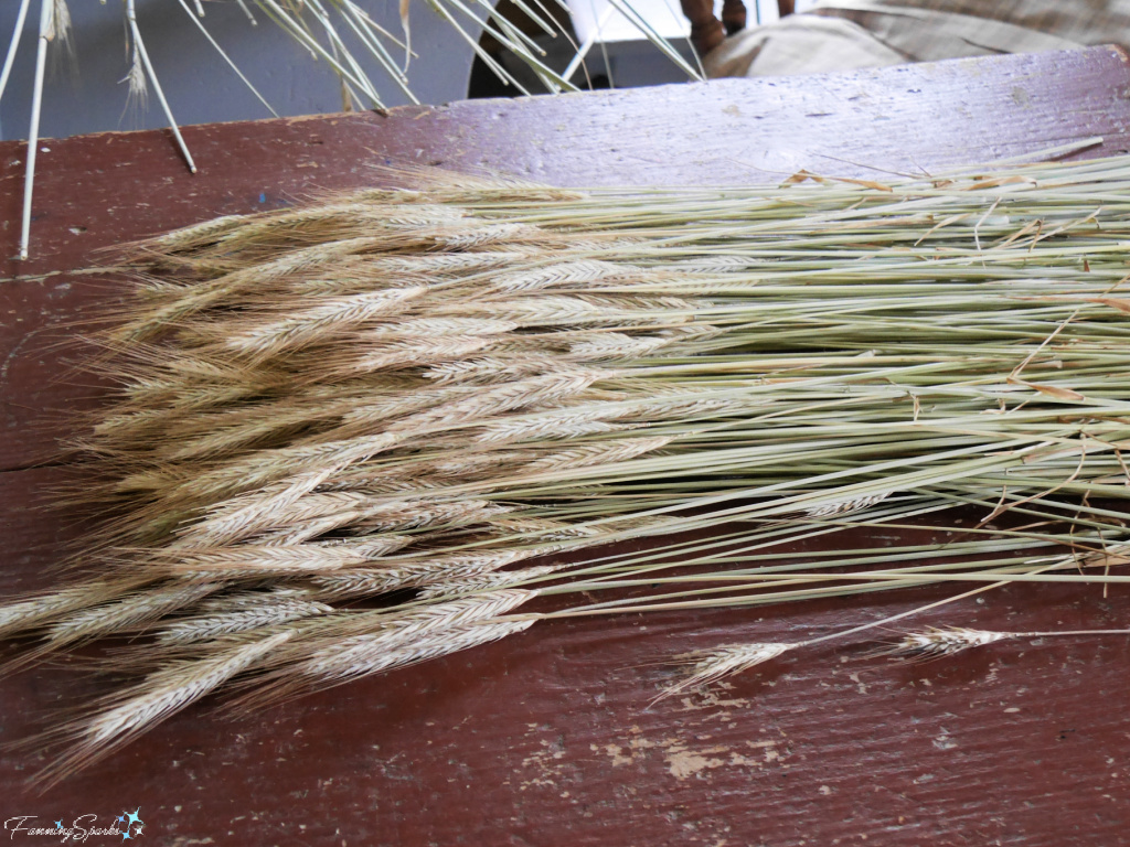 Cut Rye Grass Ready to Sort and Trim   @FanningSparks