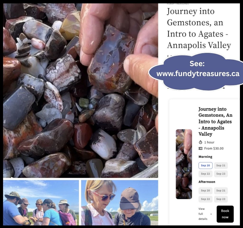 Fundy Treasures - Intro to Agates Annapolis Valley Tour Listing