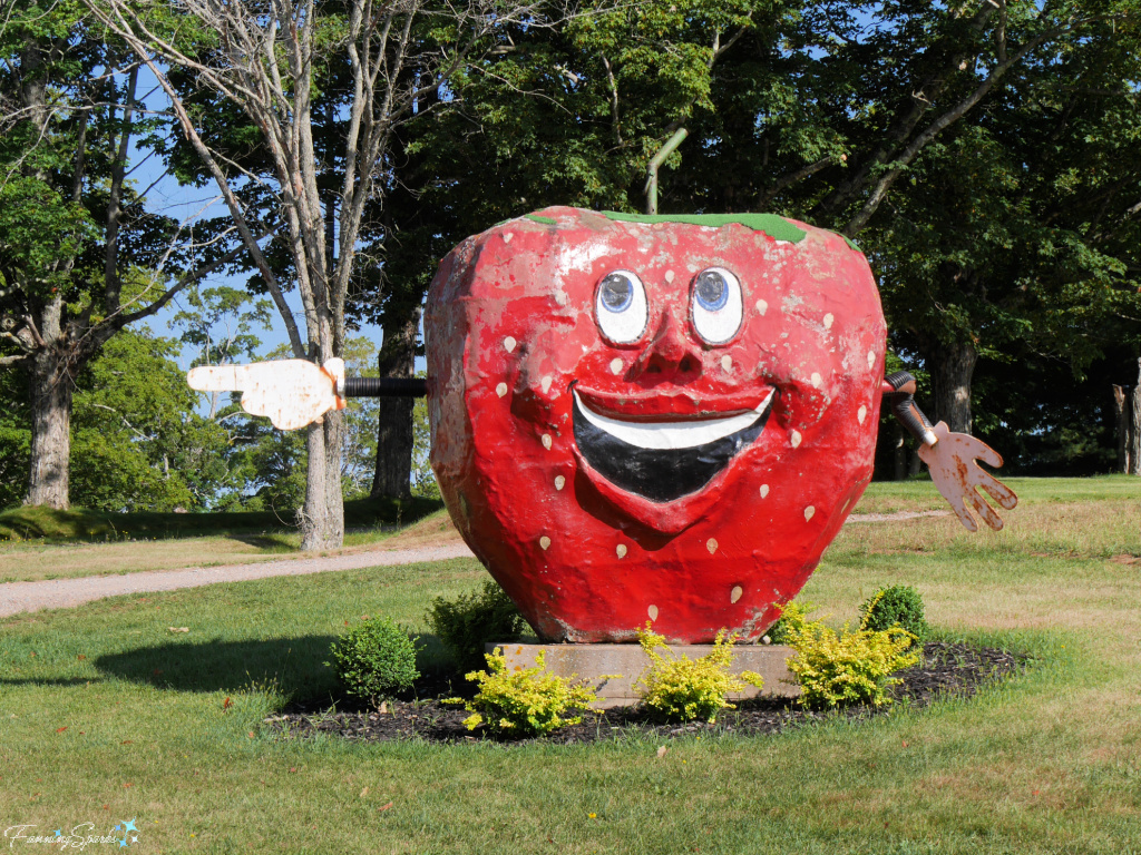Giant Strawberry Man in Great Village Nova Scotia   @FanningSparks