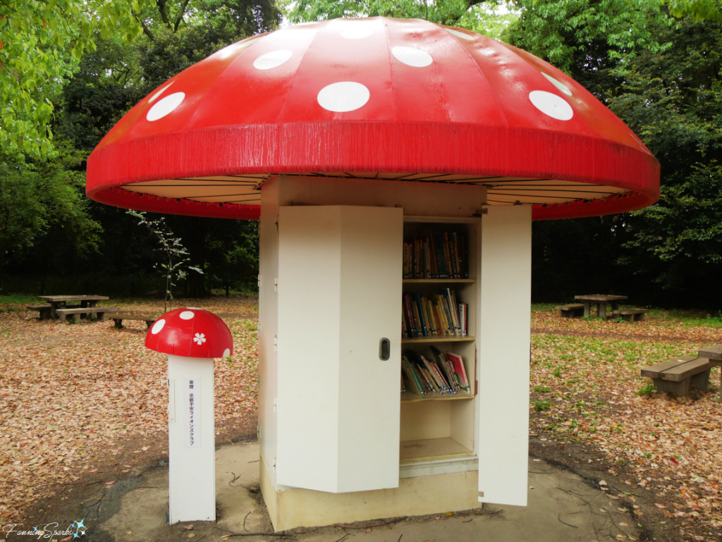 Kinoko Bunko Open Door in Kyoto Japan   @FanningSparks