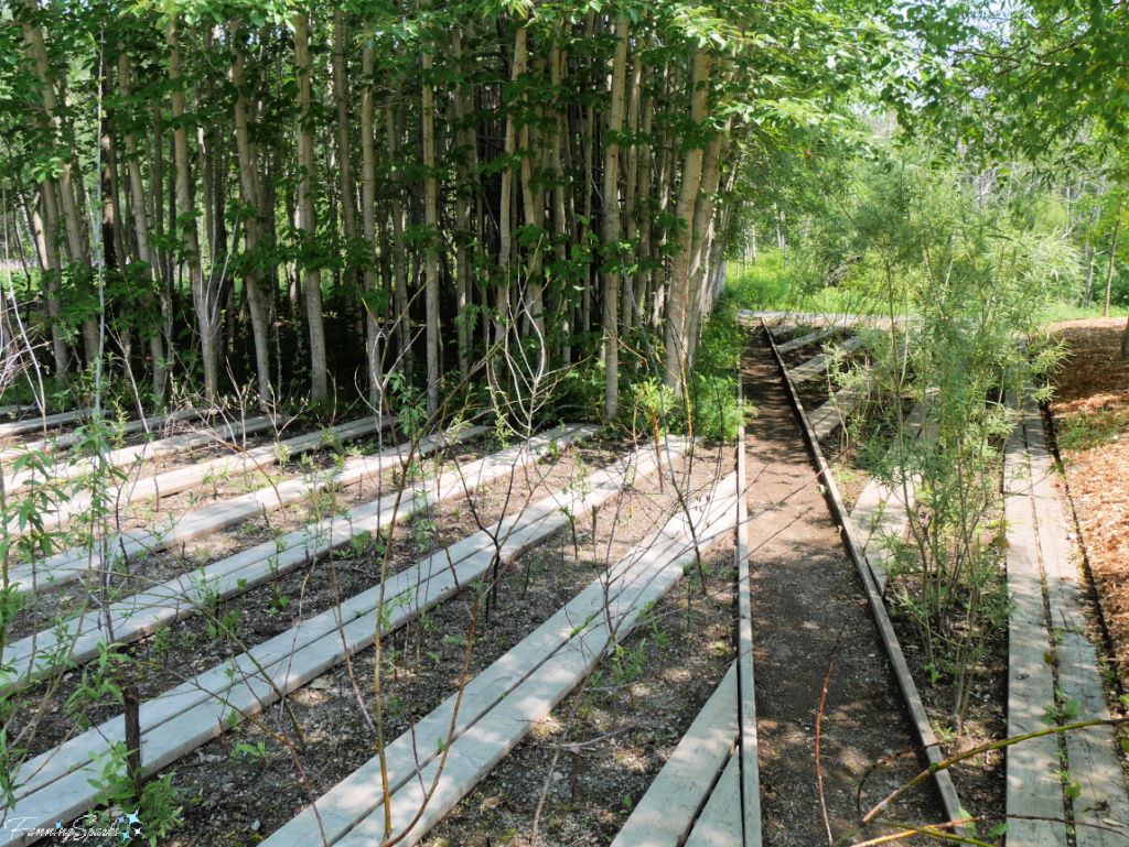 Le Bois de biais et sa folie 1 by Atelier le balto   @FanningSparks