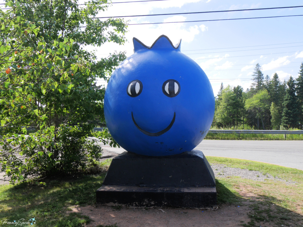 Oxley The Blueberry in Oxford Nova Scotia   @FanningSparks