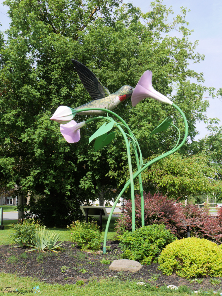 Roberta’s Hummingbird in Middle Musquodoboit NS   @FanningSparks