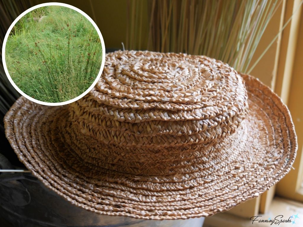 Rushes with Finished Rush Hat   @FanningSparks