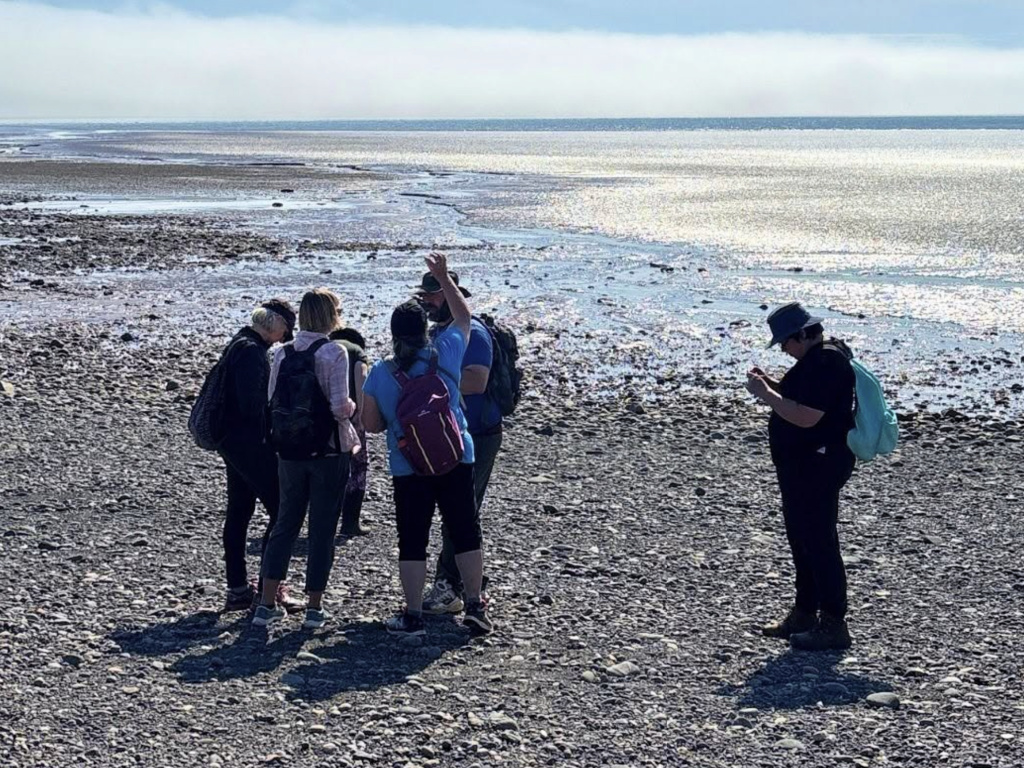 Searching for Agates on Journey into Gemstones Tour with Fundy Treasures 