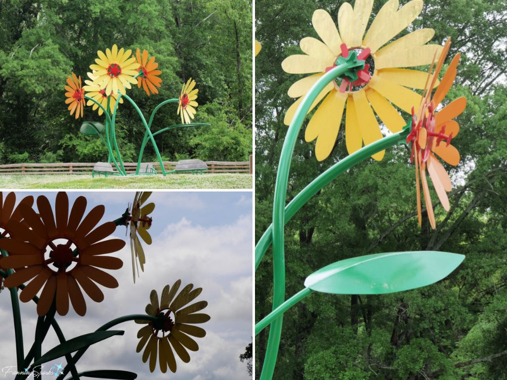 Trail Blossom Details in Athens Georgia   @FanningSparks
