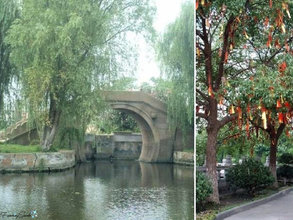 Wishing Tree in Zhouzhuang China   @FanningSparks