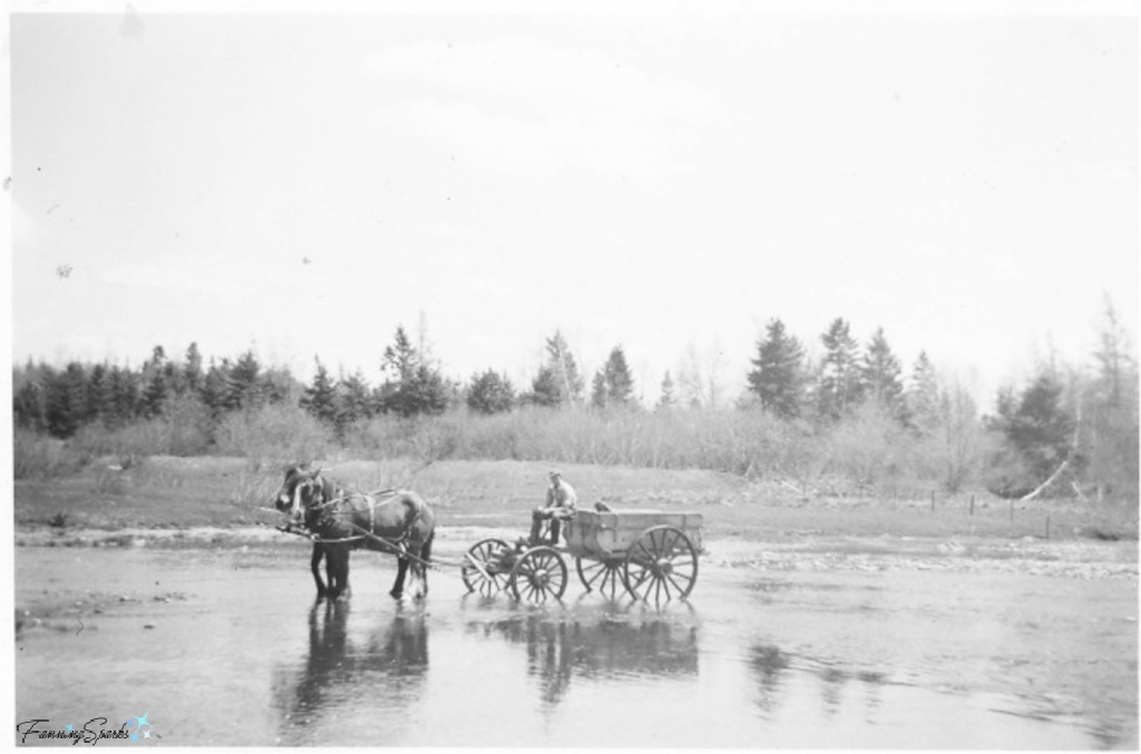 Dad with Draft Horses Crossing River in 1955   @FanningSparks