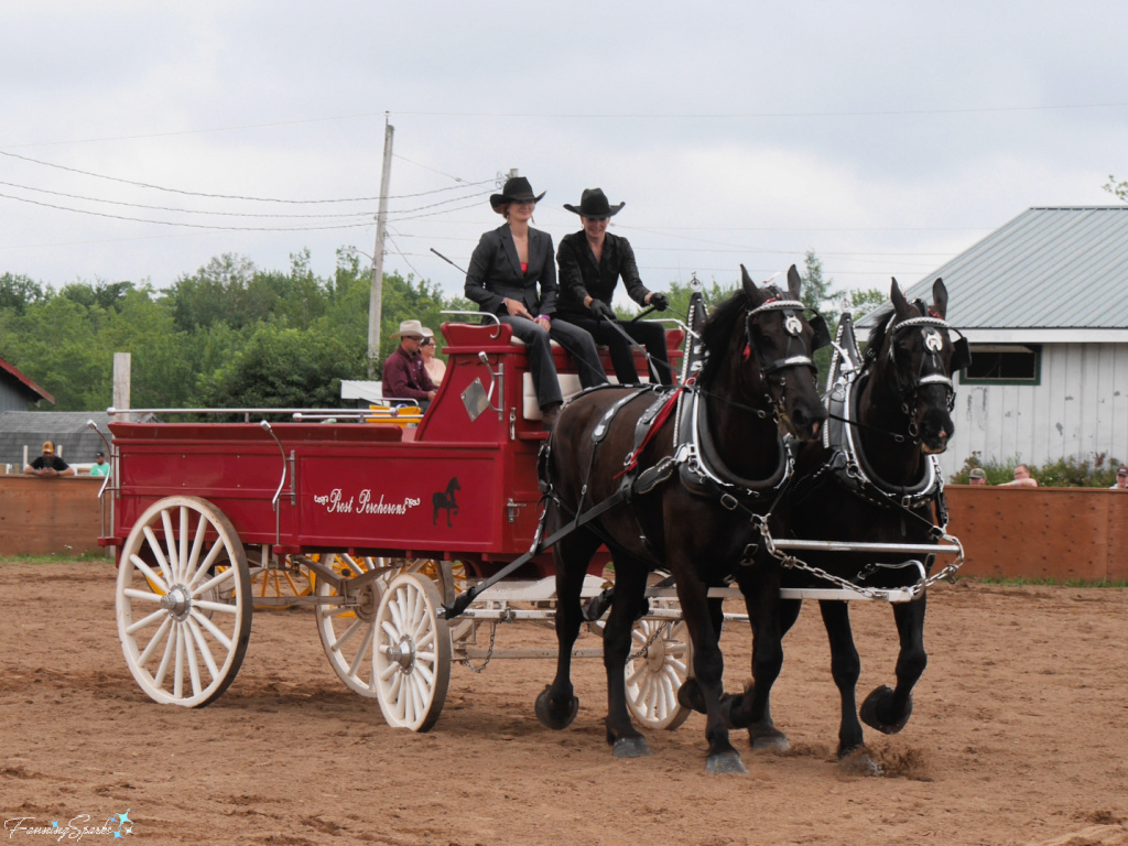 Karen Proust from Proust Percherons at Halifax County Exhibition   @FanningSparks