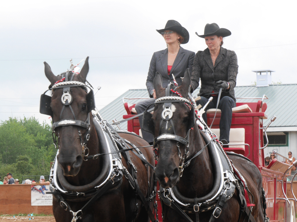 Karen Proust from Proust Percherons at Halifax County Exhibition 2 @FanningSparks