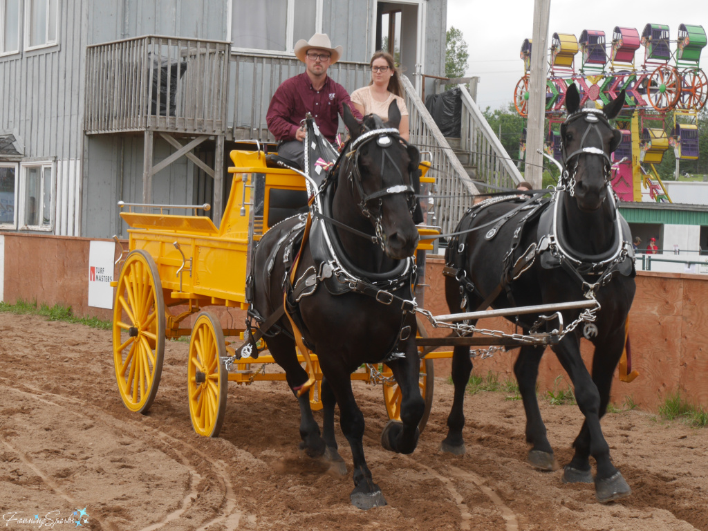 Nathan and Sam Smith from Whirlwind Hill Farm at Halifax County Exhibition 2   @FanningSparks