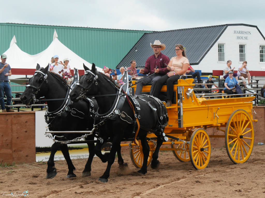 Nathan and Sam Smith from Whirlwind Hill Farm at Halifax County Exhibition   @FanningSparks