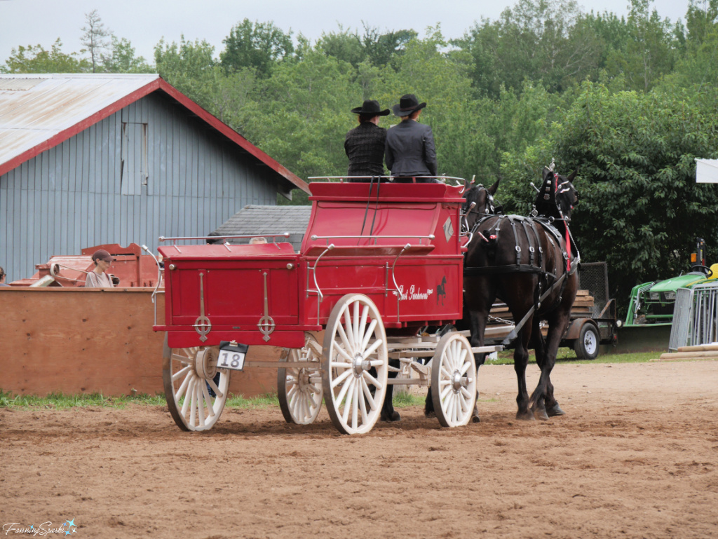 Proust Percherons Leaving Ring   @FanningSparks