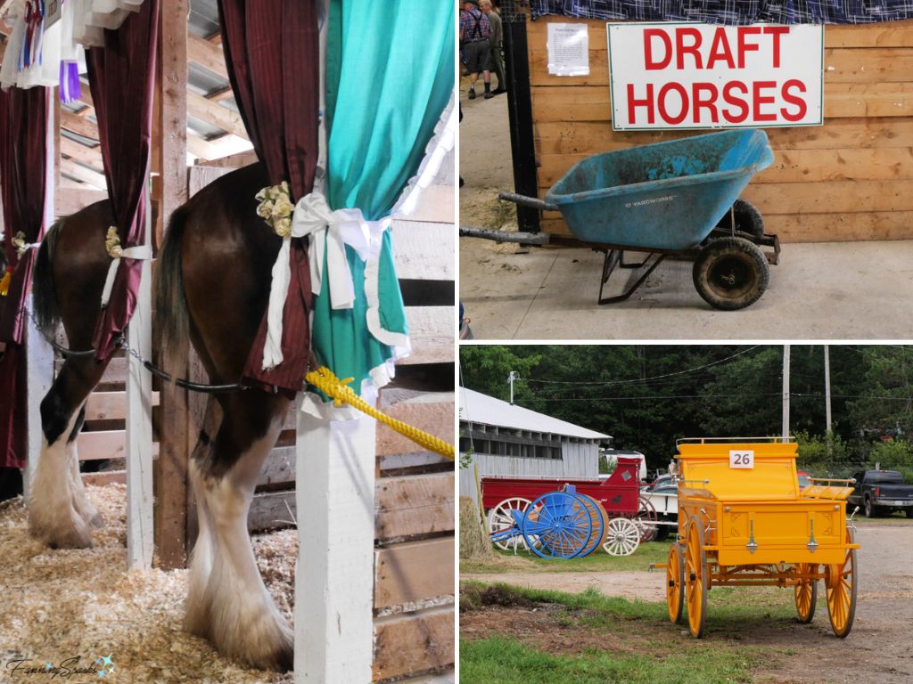 Scenes Around the Draft Horse Barn   @FanningSparks