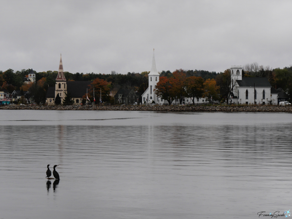 Cormorants Admire Three Churches in Mahone Bay NS   @FanningSparks