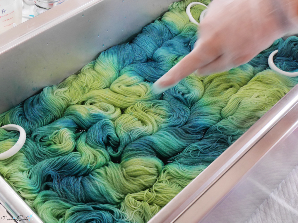 First Pass Hand Painting Yarn in Green Gable Alpacas Dyeing Studio   @FanningSparks