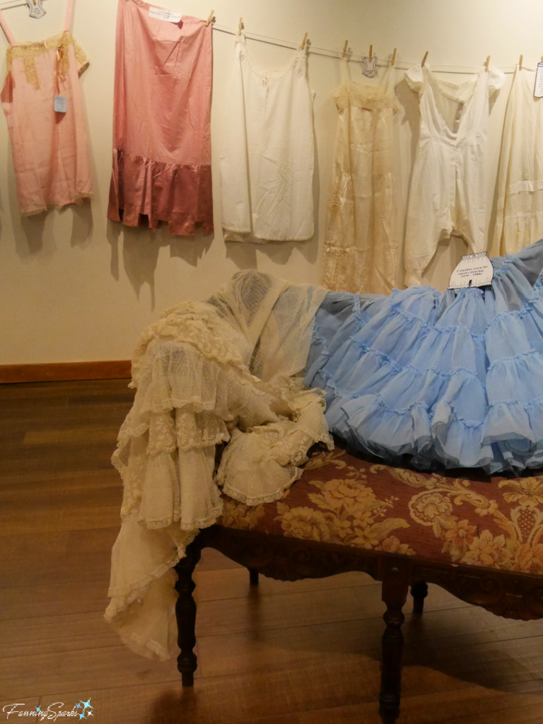 Mentioning Unmentionables at DesBrisay Museum in Bridgewater NS   @FanningSparks