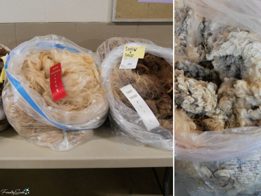 Wool Fleece Show and Sale at Southeastern Animal Fiber Fair   @FanningSparks