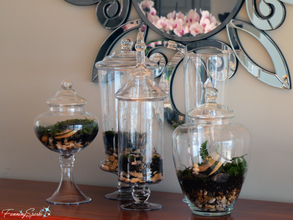 Grouping of Closed Terrariums From Right   @FanningSparks