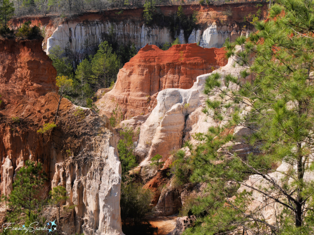 Providence Canyon - Looking Down at Floor of Canyon 4  @FanningSparks