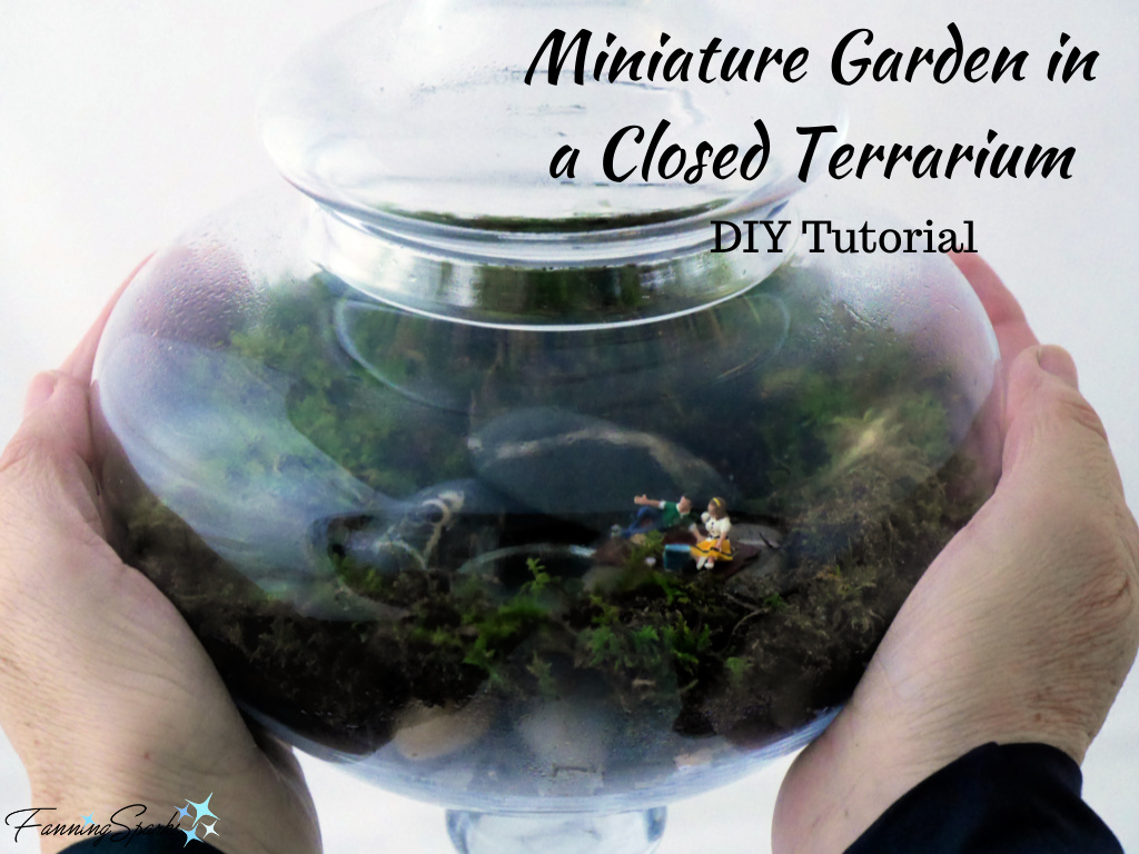 Miniature Garden in a Closed Terrarium DIY Tutorial  @FanningSparks