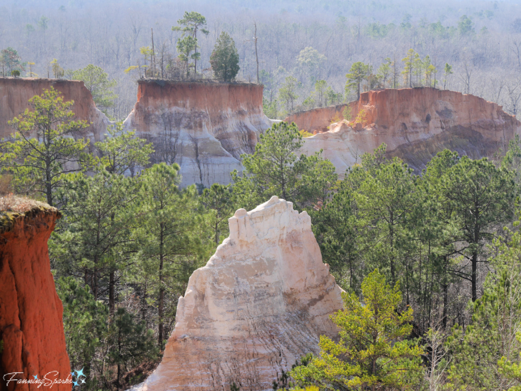 Providence Canyon View from Rim  @FanningSparks