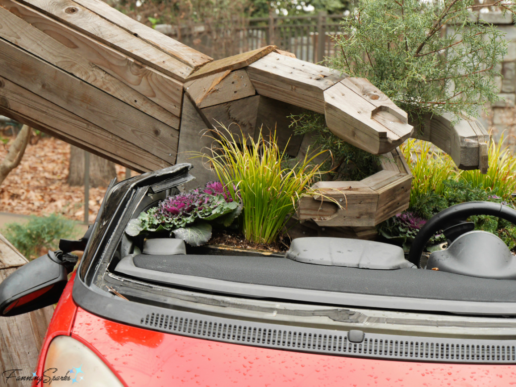 Thomas Dambo's Rosa Solfinger Planting in Car Closeup   @FanningSparks