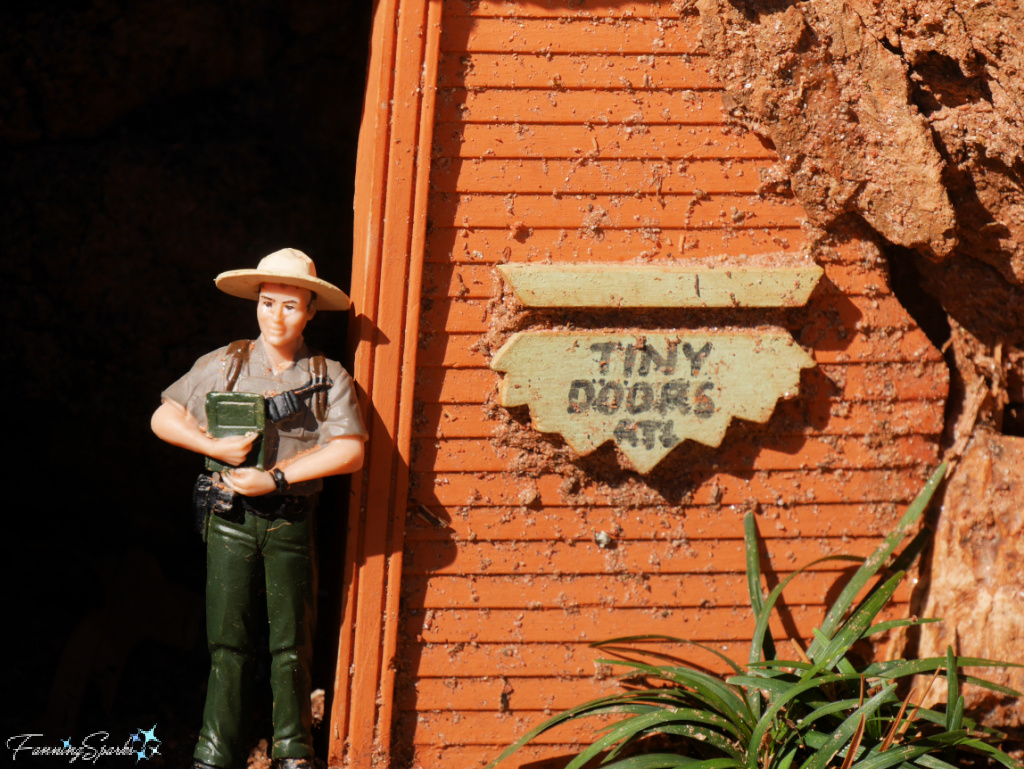 Tiny Door #10E - Grant Park Tree with Park Ranger  @FanningSparks