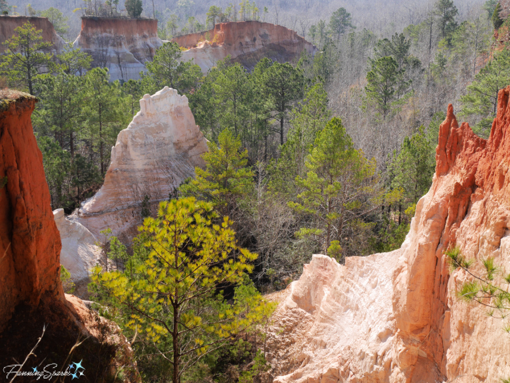 Providence Canyon - View from Canyon Rim with White Cliffs on Right  @FanningSparks
