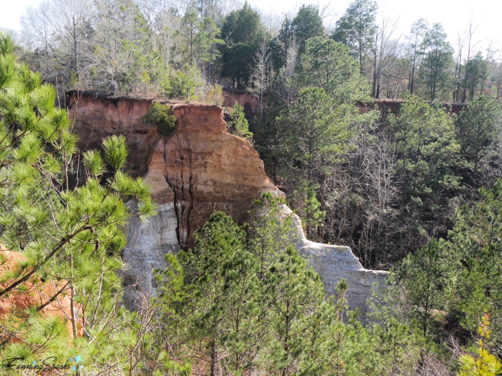 Providence Canyon - View of Canyon Wall Through Trees  @FanningSparks